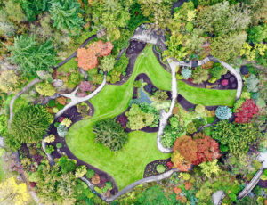 Plant Centres and Densities in Artisan
