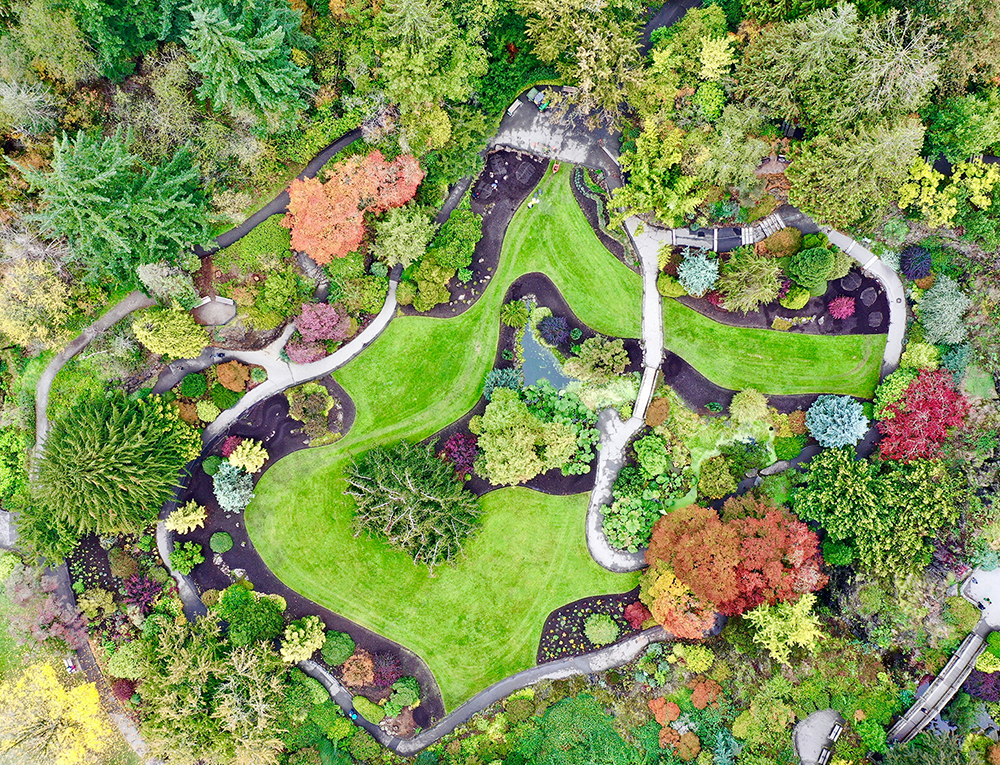Plant Centres and Densities in Artisan